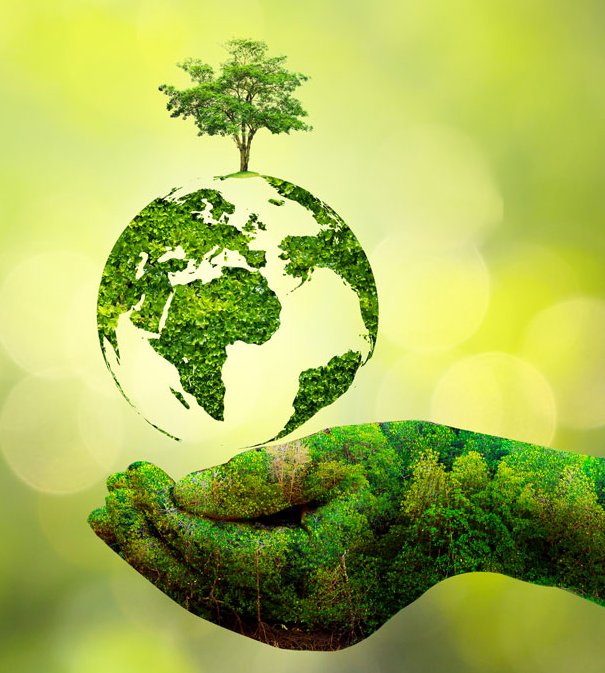 We Safeguard The Environment