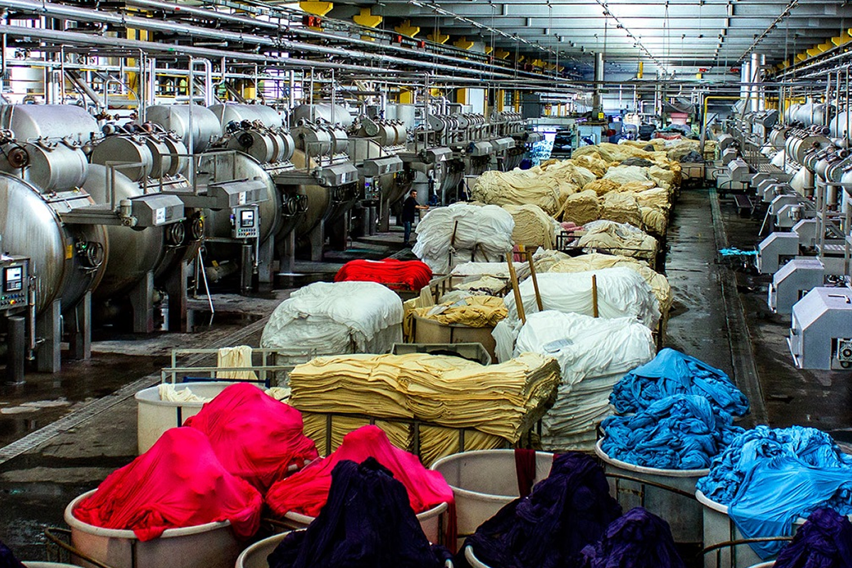 Dye & Pigment Industry