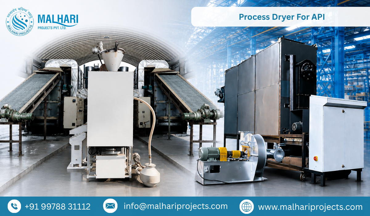 Process Dryer For API